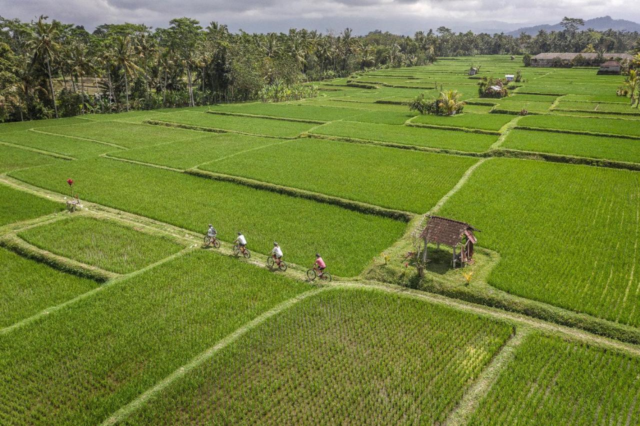 Four Seasons Resort Bali At Sayan Ubud Exteriér fotografie